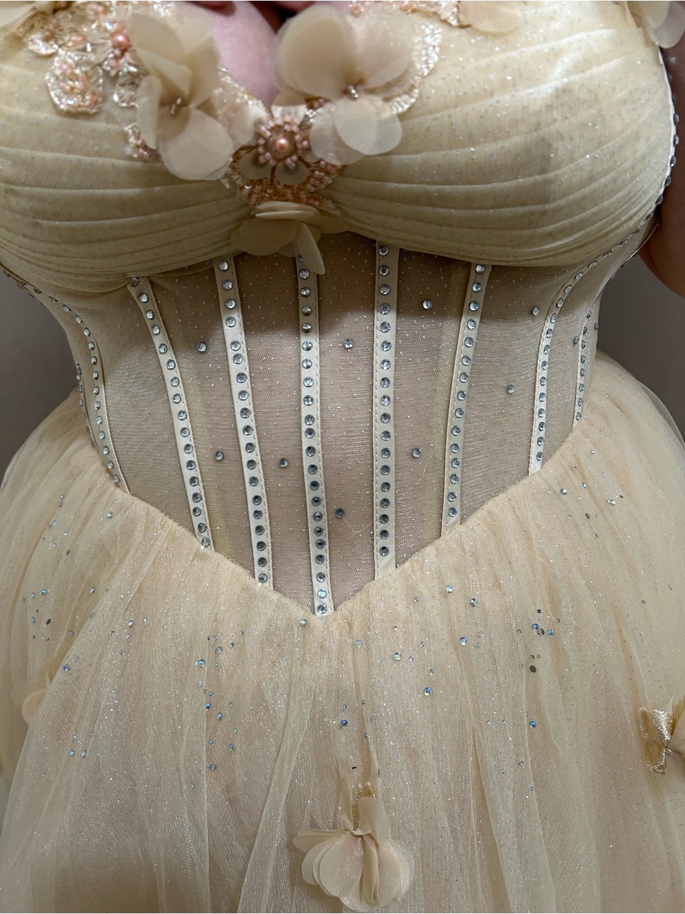 Champagne Tulle Ball Gown with Floral Appliqués - Picture 6 of 11